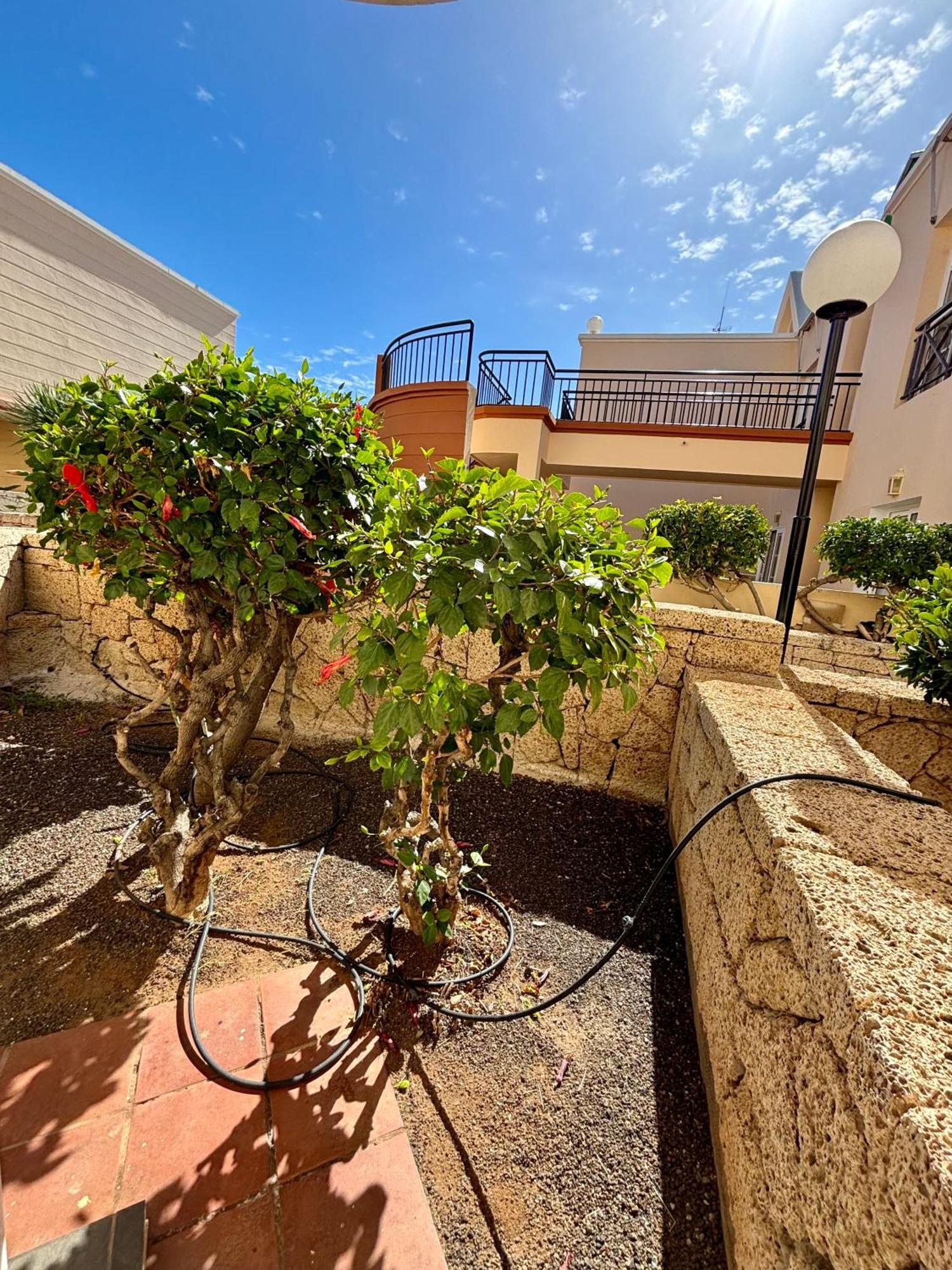 Apartment Clara Fanabe Costa Adeje  Eksteriør billede